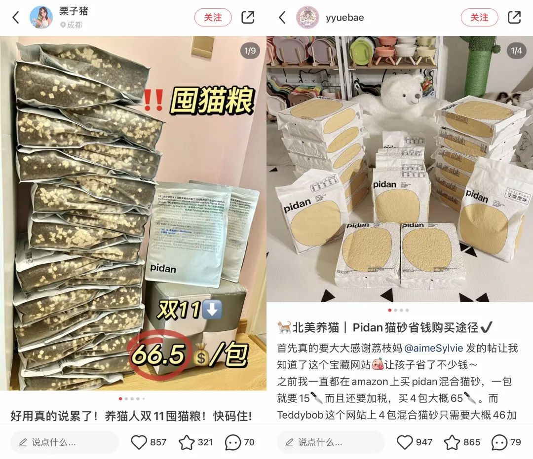 6年做到品类第一！高热宠物用品赛道来看pidan怎么做小红书投放布局？